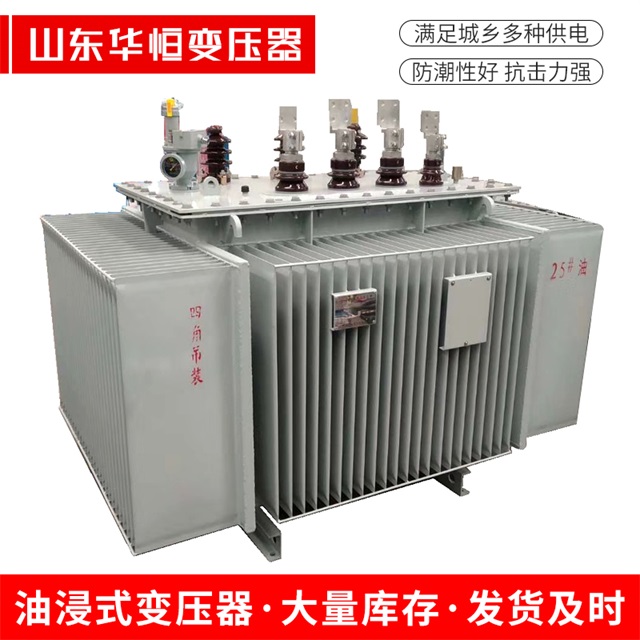 S13-10000/35巴中巴中巴中电力变压器厂家